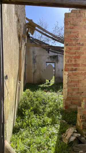 IMG_0354 copia.jpg