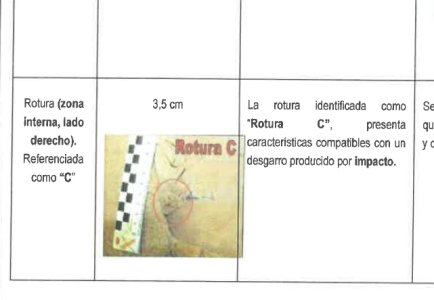 forro2.jpg