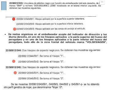adn faro.jpg