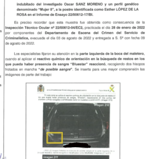 Screenshot_20240812-070536_1b.png