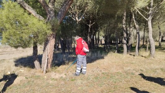 IMG_1550.jpeg