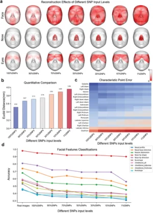 advs11357-fig-0005-m.webp advs11357-fig-0005-m.webp