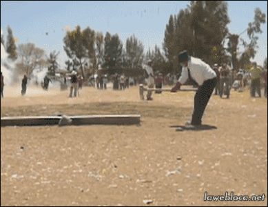 PP5P.gif