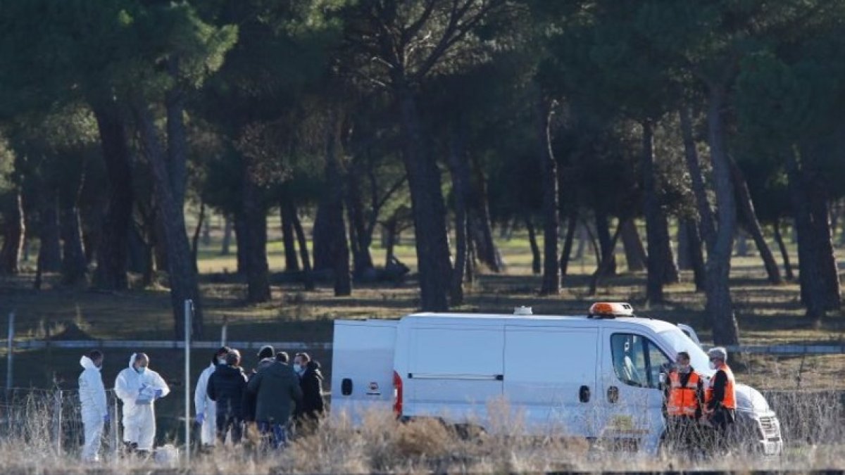www.diariodevalladolid.es