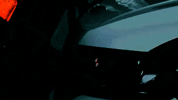 EURONcap2.gif