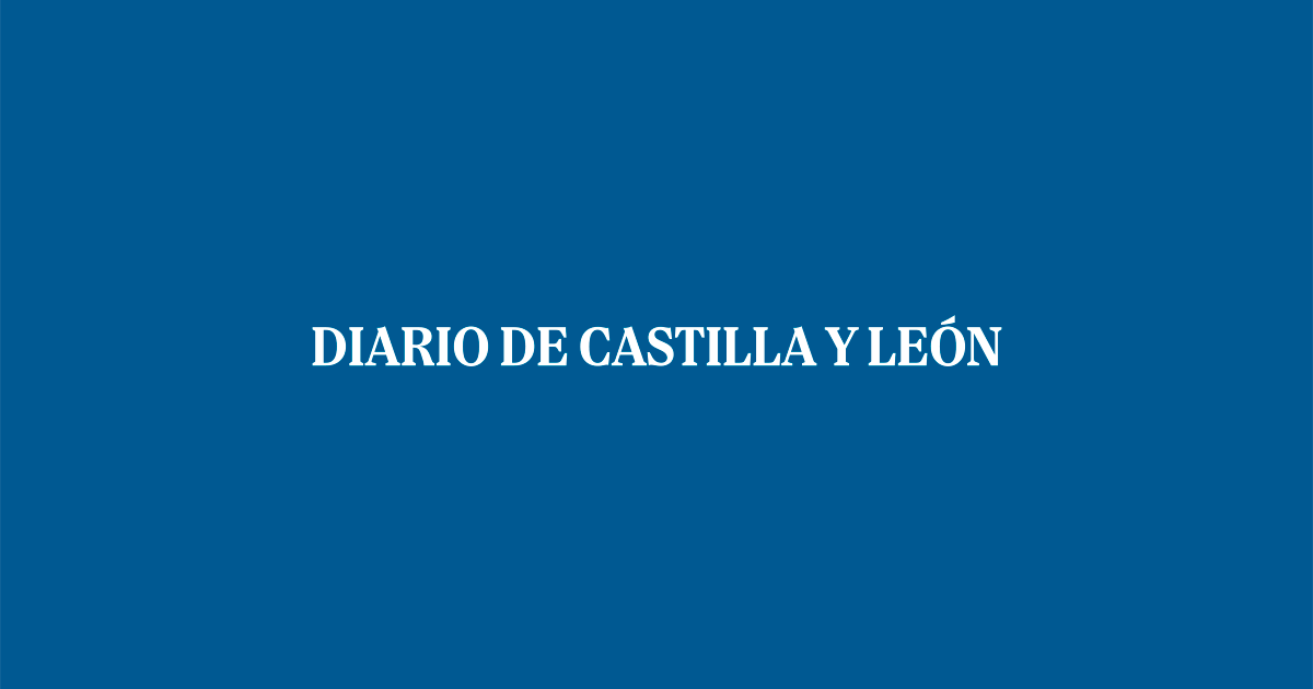 diariodecastillayleon.elmundo.es