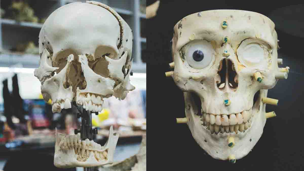 Ciencias Forenses. Qué son y para qué sirven